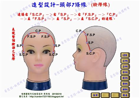 頭部七條基準線中，側頭線是|修剪基礎：頭部點與線